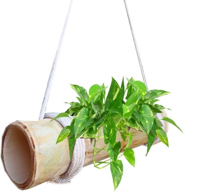 LIVEONCE bamboo made Natural wooden planter hanger Plant Container(Wood, External Height - 20 cm)