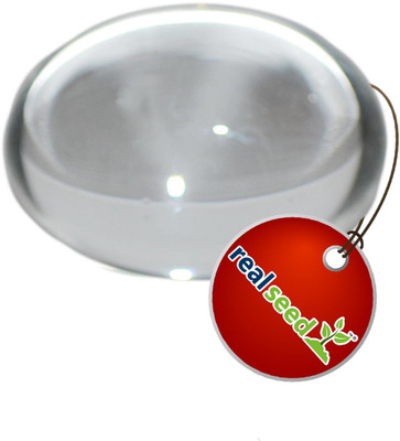 Real Seed Decorative Showpiece  -  3.5 cm(Crystal, Clear)
