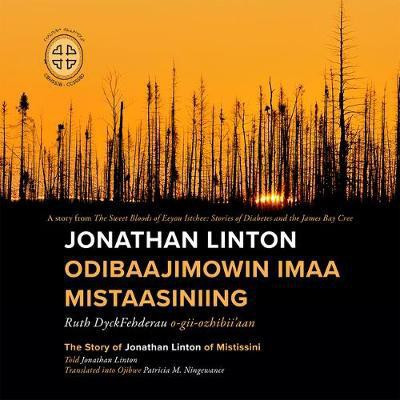 Jonathan Linton Odibaajimowin Imaa Mistaasiniing(English, Paperback, Dyckfehderau Ruth)
