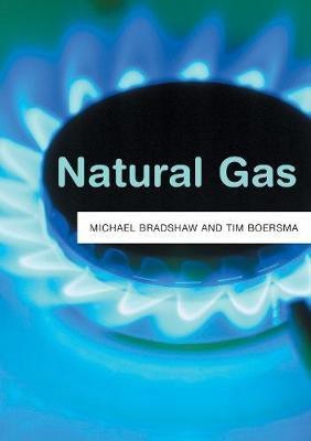 Natural Gas(English, Hardcover, Bradshaw Michael J.)