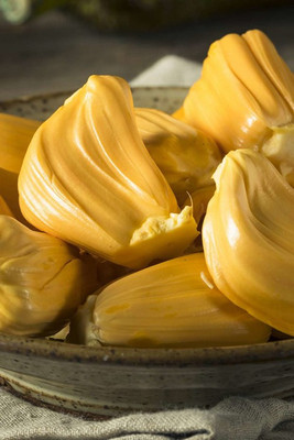 Ukanda Jackfruit Plant(Hybrid, Pack of 1)