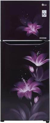 LG 260 L Frost Free Double Door 2 Star (2020) Convertible Refrigerator(Purple Glow, GL-T292SRGY)