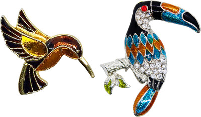 FURE Combo of Humming Bird & Tropical Toucan Brooch(Multicolor)