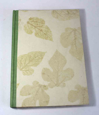 Camlon Exports NA A4 Diary Unruled 96 Pages(Multicolor)