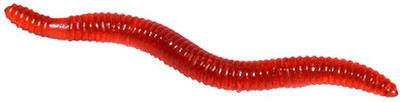 FUTABA Soft Bait Silicone Fishing Lure(Pack of 10)