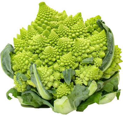 VibeX XII-519-Fast Germination Pagoda Cauliflower Seeds Seed(500 per packet)