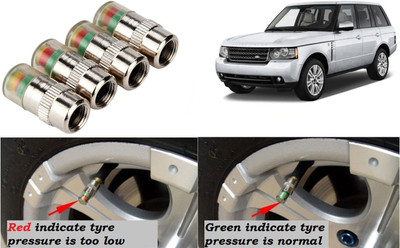 Auto Kite Brass, Stainless Steel Tyre Valve Cap for Car, Bike(Cylinder)