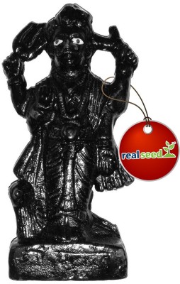 Real Seed Decorative Showpiece  -  10 cm(Cast Iron, Black)