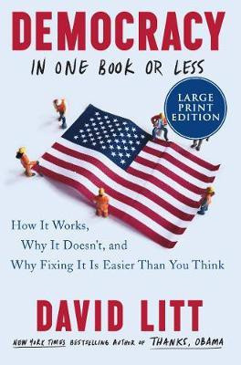 Democracy in One Book or Less(English, Paperback, Litt David)