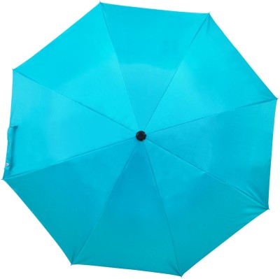 Flipkart SmartBuy 2 Fold Auto Open Polyester Umbrella (Blue)