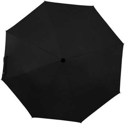 Flipkart SmartBuy 2 fold Auto Open Nylon Umbrella(Black)