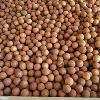 V Seed White Sandal / Chandan Seed Seed(45 per packet)