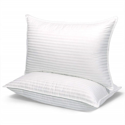 Changers Microbeads Solid Sleeping Pillow Pack of 2(White)