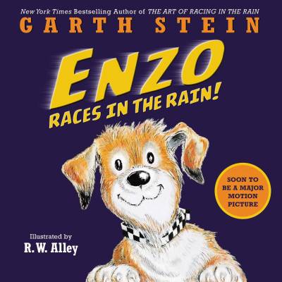 Enzo Races in the Rain!(English, Paperback, Stein Garth)