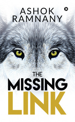 The Missing Link(English, Paperback, unknown)