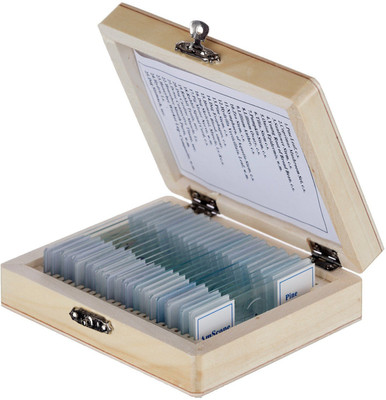 BEXCO Slide Box of 25 Prepared Slides of Zoology Microscope Slide Box