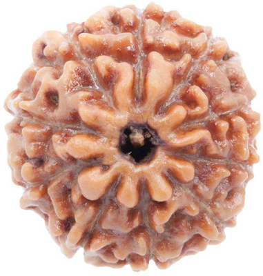 ShivaRatna 10 Mukhi Lab Certified Rudraksha (Origin Java) Good Shape & Matured Bead (Size 15-18mm) Wood Pendant