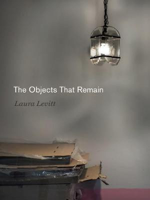 The Objects That Remain(English, Hardcover, Levitt Laura)