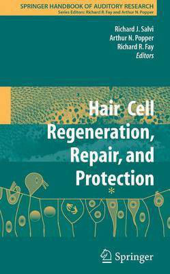 Hair Cell Regeneration, Repair, and Protection(English, Electronic book text, Salvi Richard)