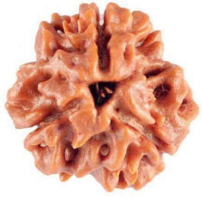SHIVOHAM 3 Mukhi Lab Certified Rudraksha Good Shape & Matured Bead (Size 15-20mm) Wood Pendant