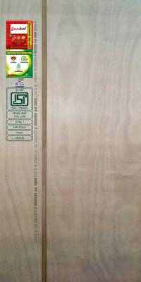 duro Pumaply BWP 19MM 8 x 4 Blockboard Plywood  (Brown)