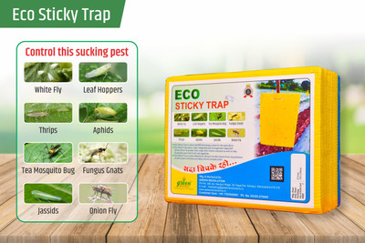 green-revolution-eco-sticky-trap-for-garden-farm-glue-trap-yellow-sticky-trap-fly-trap-for-control-whitefly-thrips-aphids-jassids-onion-fly-leaf-hopper-fungus-gnats-and-other-flying-insects-pack-of-1-25-pieces25-x-004-units