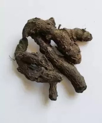 WILD FOREST KALI HALDI Seed(3 per packet)