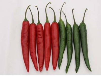 YOUNG STAR HYBRID FARMER CHOICE F1 MIX CHILLI(MIRCH) SEED Seed(150 per packet)