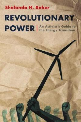 Revolutionary Power(English, Paperback, Baker Shalanda)