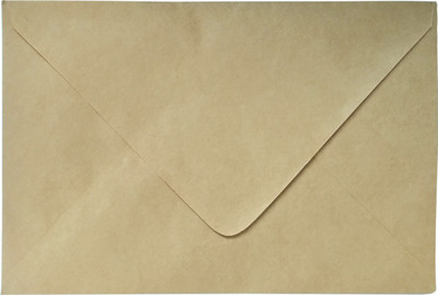 AccuPrints brown craft (6x 9) Envelopes(Pack of 50 Brown)
