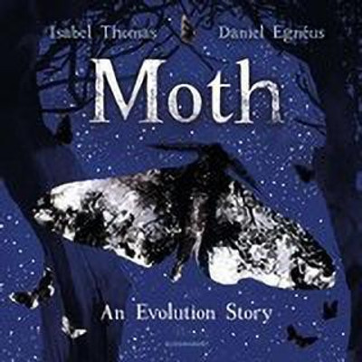 Moth(English, Hardcover, Thomas Isabel)
