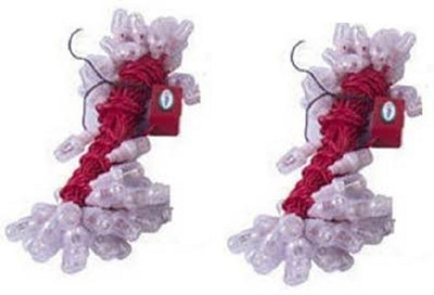 premier lights 80 LEDs 19.99 m Red Steady String Rice Lights(Pack of 2)