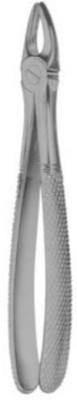 Forgesy Tooth Extraction Forcep No 2 Serrated Forceps