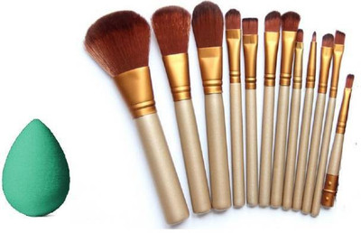 SKINPLUS 12 Makeup Brush Set With Sponge Puff(13 Items in the set)