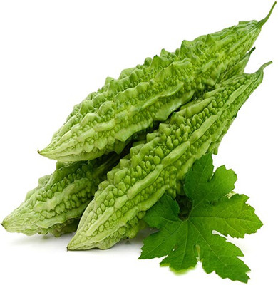 Corofitam karela Seed(30 per packet)