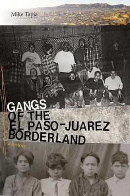 Gangs of the El Paso-Juarez Borderland(English, Paperback, Tapia Mike)