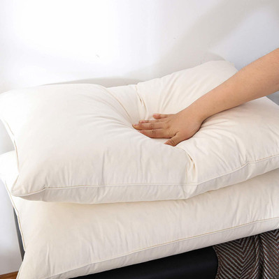 Changers Microfibre Solid Sleeping Pillow Pack of 2(White)