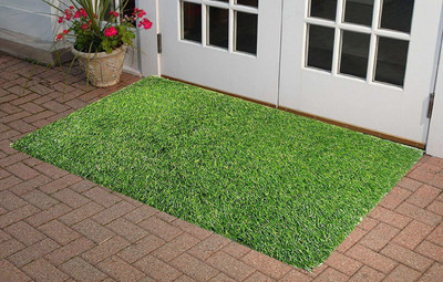 RAM MURTI ENTERPRISES Polyester Door Mat(Green, Medium)