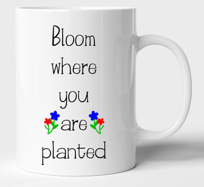 BLISSart Bloom where You are Planted White Best For Gift Ceramic Coffee Mug(350 ml)