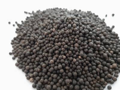 DHARTI CORPORATION Organic DAP Fertilizer For Plant Growth Fertilizer