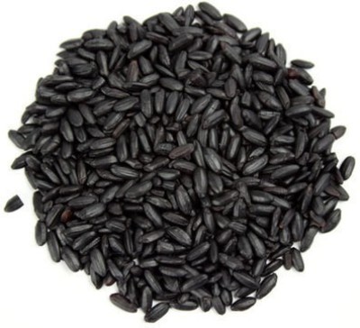 Green World BLACK RICE Seed(750 per packet)