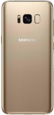 Slugabed Samsung Galaxy S8 Back Panel(Gold)