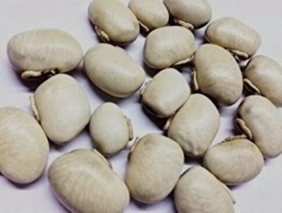 Behuria Agro Farm Kaunch Beej, Konch Beej, Cowhage Seeds, Kapikacchu, Velvet Beans Seed(500 per packet)