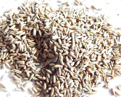 Xetomos Apamarga Latjira Chirchita 250g seeds Seed(1 per packet)