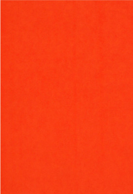 snow crafts Single Colour Unruled A4 100 gsm Coloured Paper(Set of 1, Orange)