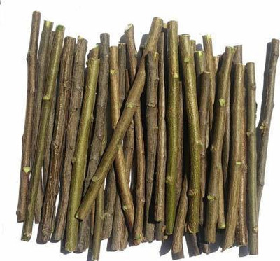 greenglory Neem Datun Seed(10 per packet)