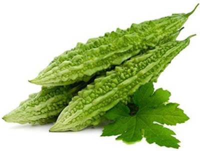 Kofy Bitter Gourd Seed(20 per packet)