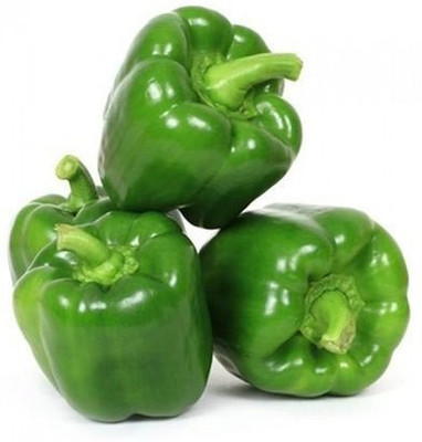 Paudha Green Capsicum (shimla mirch) Seed(55 per packet)