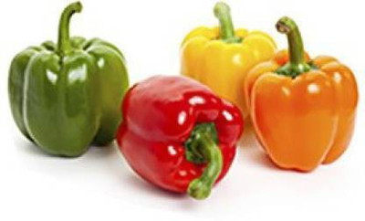 OMAZE Capsicum Seed(40 per packet)