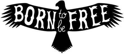 WALLDECORS 60.96 cm BORN TO BE FREE BIRD IMAGE Self Adhesive Sticker(Pack of 1)